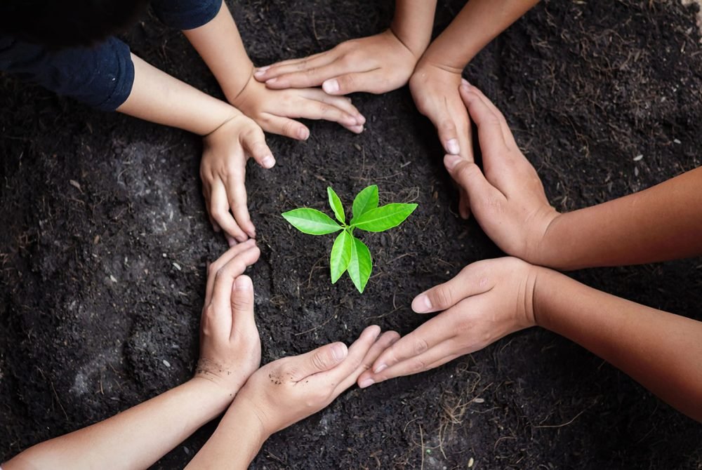 Ecology & Environment WordPress Theme Save green planet concept with eco-friendly symbols promoting environmental conservation